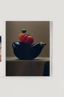 Books-HUSK Art of HuskArtof