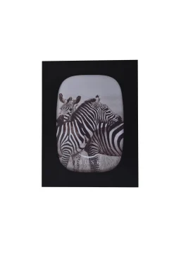 Frames-HUSK Resin Frame - Black